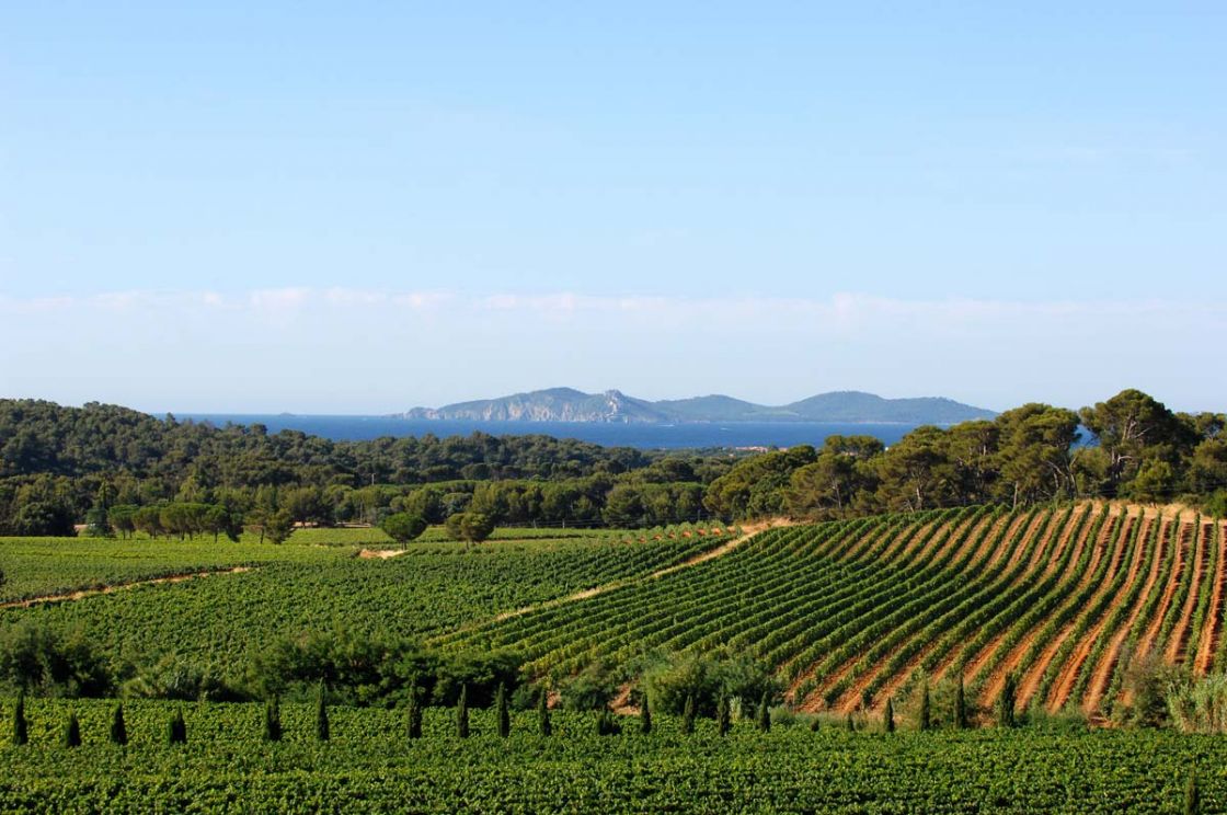 Domaine viticole du Var